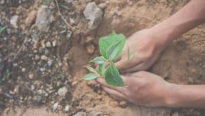 environmental-conservation-garden-children_1150-15281